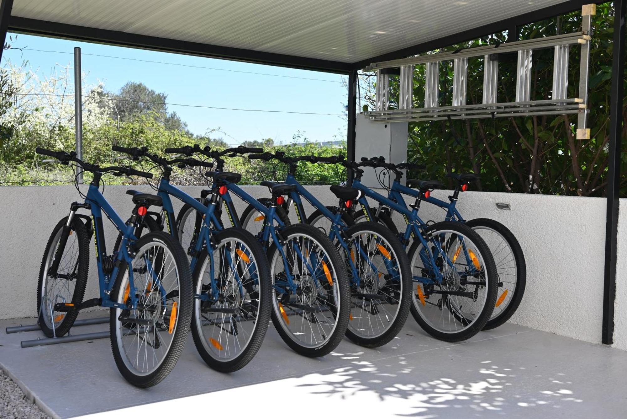 Villa Suncica With Heated Pool, Jacuzzi And Bikes Near Zadar Sukošan 外观 照片